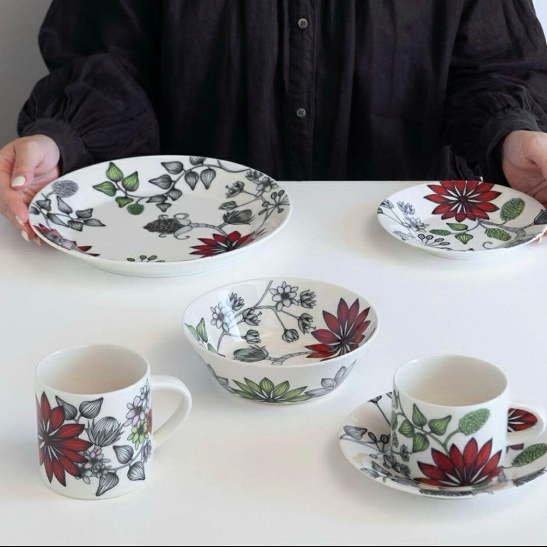 新品アラビア ルノ サマーレイ17cmボウル ×2