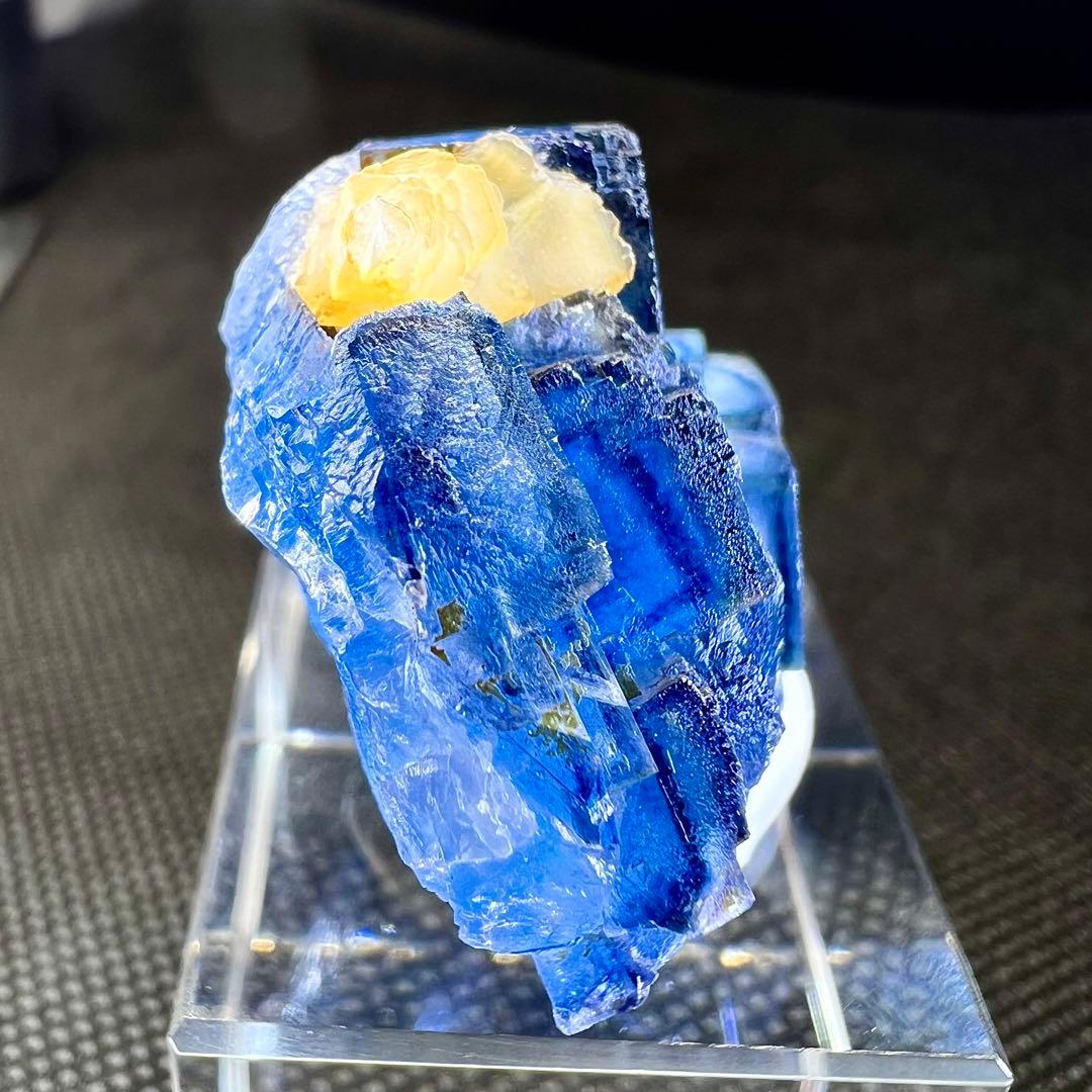 花乙女コレクション【花岡寿一窓辺のフルート奏者】購入金額より60％お