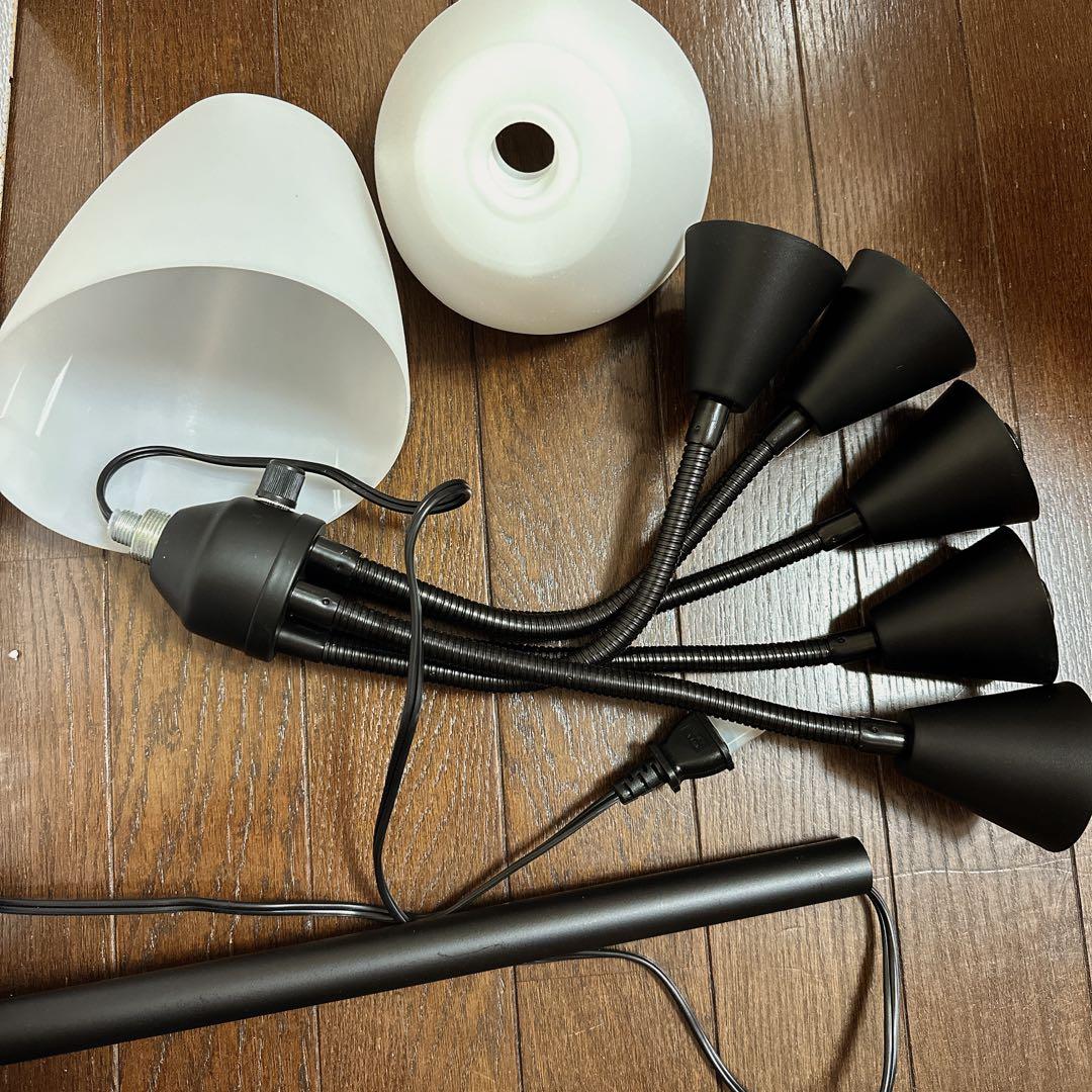 Lightaccents メデューサ フロアランプ アクリルシェード付き 照明