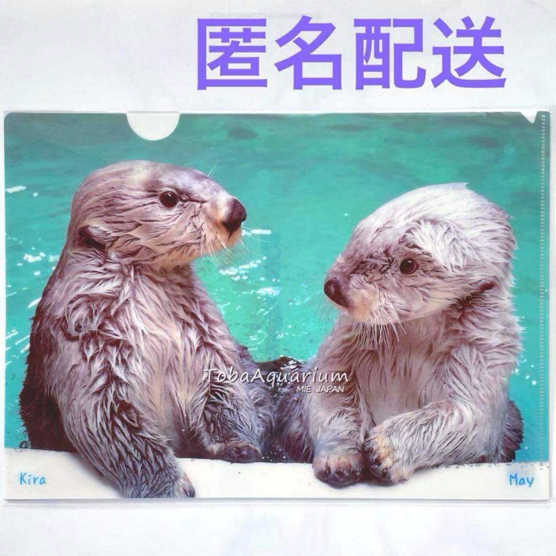 鳥羽水族館限定 ラッコ キラ＆メイ A4クリアファイル - メルカリ