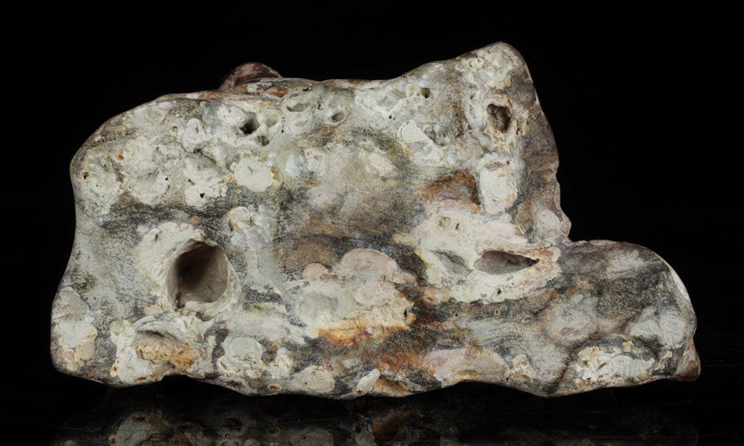 紅梅 梅花石 台付 5.7kg 鑑賞石 水石 原石 天然石 鉱石 盆石 飾石