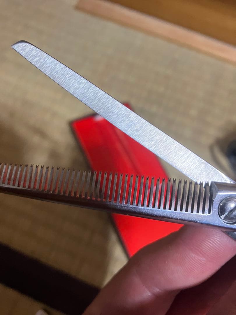 ジ*ー様 R.E.G. すきバサミ 理容　ハサミ