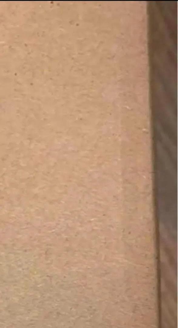 【M3153-81-55】スポットライト 6灯　電球付き　ブラック