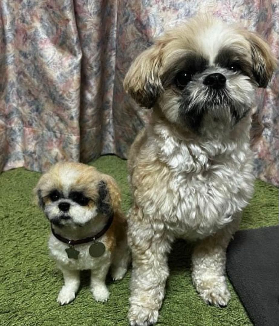 p*o様 わたわたペット　わんこ限定　分身の術　中サイズ　(20センチ程)羊毛フ