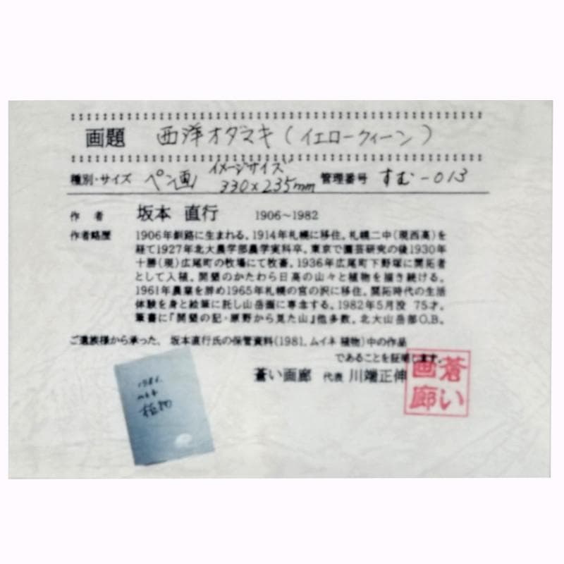 ☆坂本直行☆「 西洋オダマキ（イェロークイーン）」ペン画 大衣 未