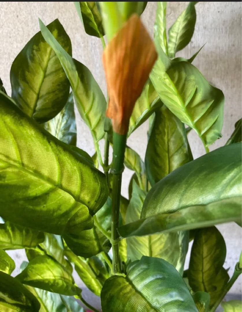 光触媒　人工観葉植物　ウォールグリーン　フェイクグリーン　デヘンヴァギア130