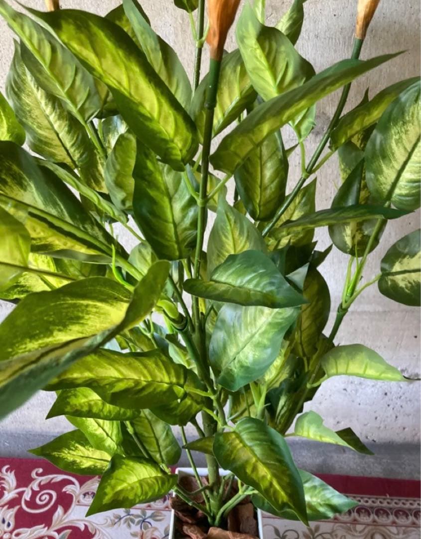 光触媒　人工観葉植物　ウォールグリーン　フェイクグリーン　デヘンヴァギア130