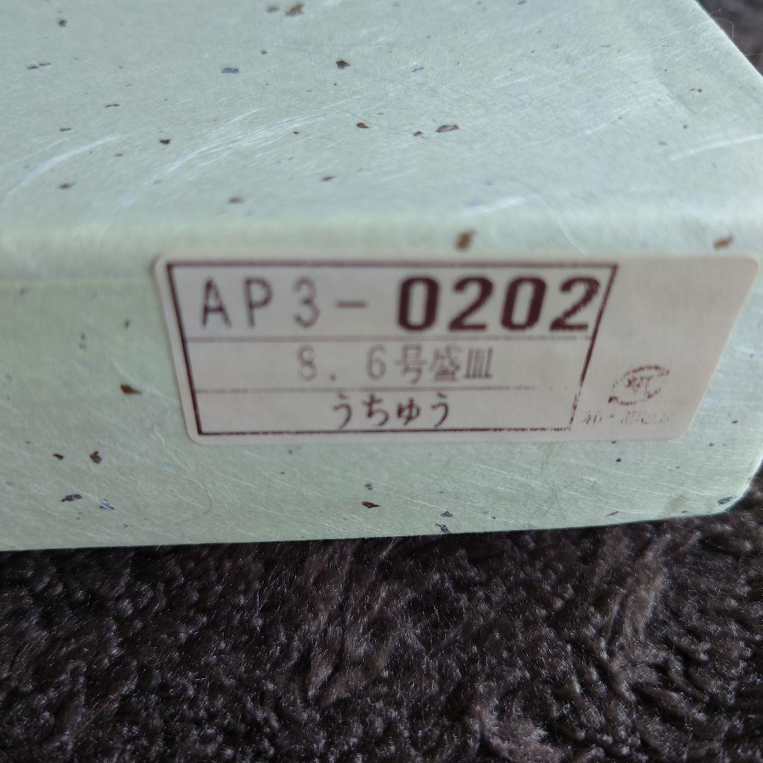 九谷焼　勝部明美　うちゅう　8.6号盛皿