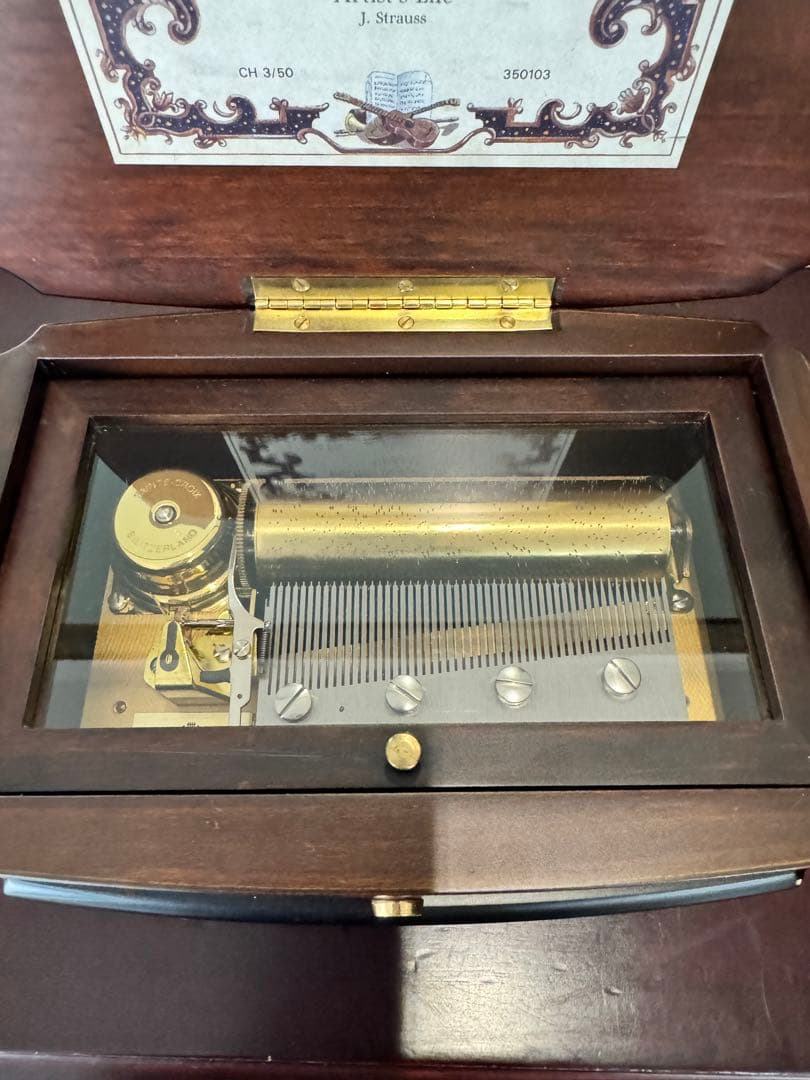 リュージュ 50弁レア曲 ブルードナウ 芸術家の生活 ウィーンの森の物語