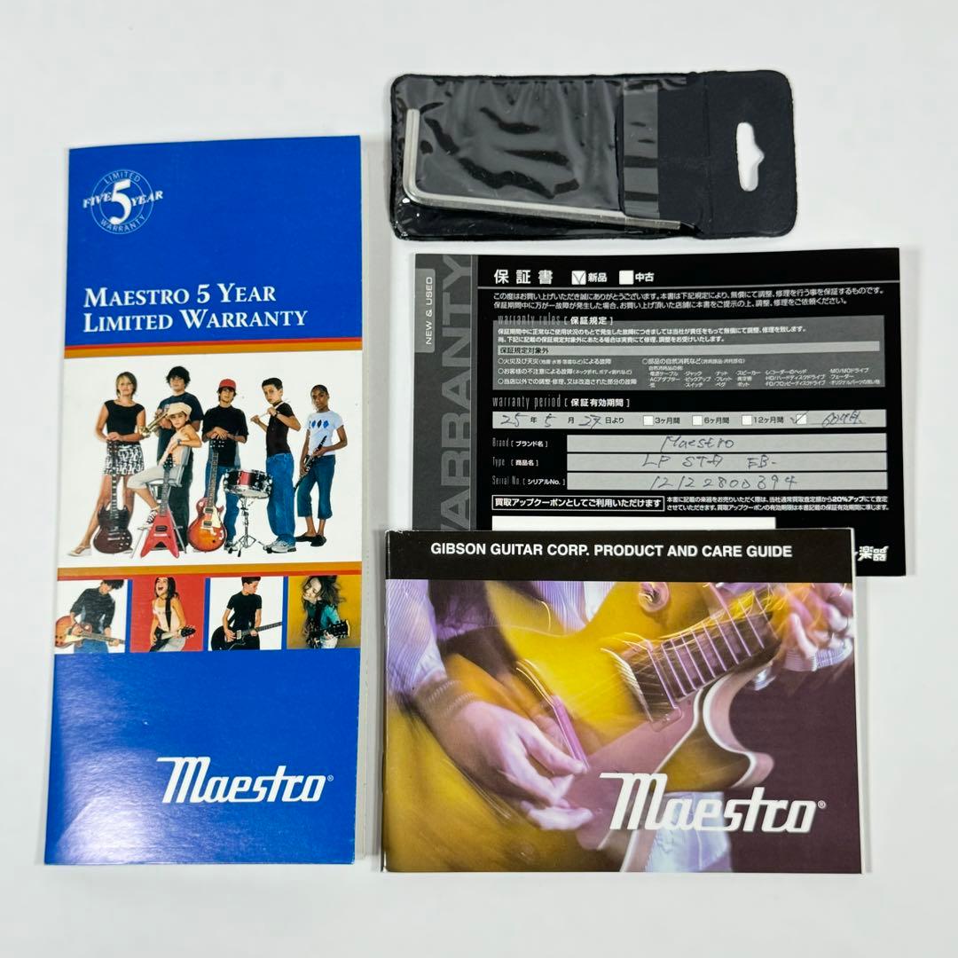 ギター Maestro by Gibson Les Paul Standard EB