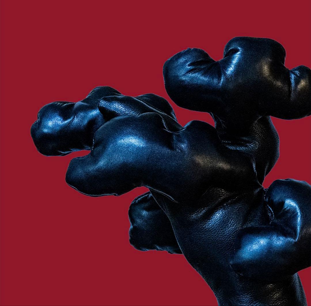 レザー盆栽　leather BONSAI 五葉松