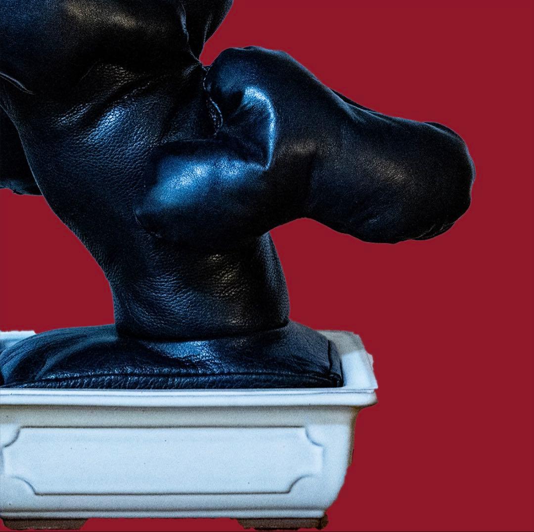 レザー盆栽　leather BONSAI 五葉松