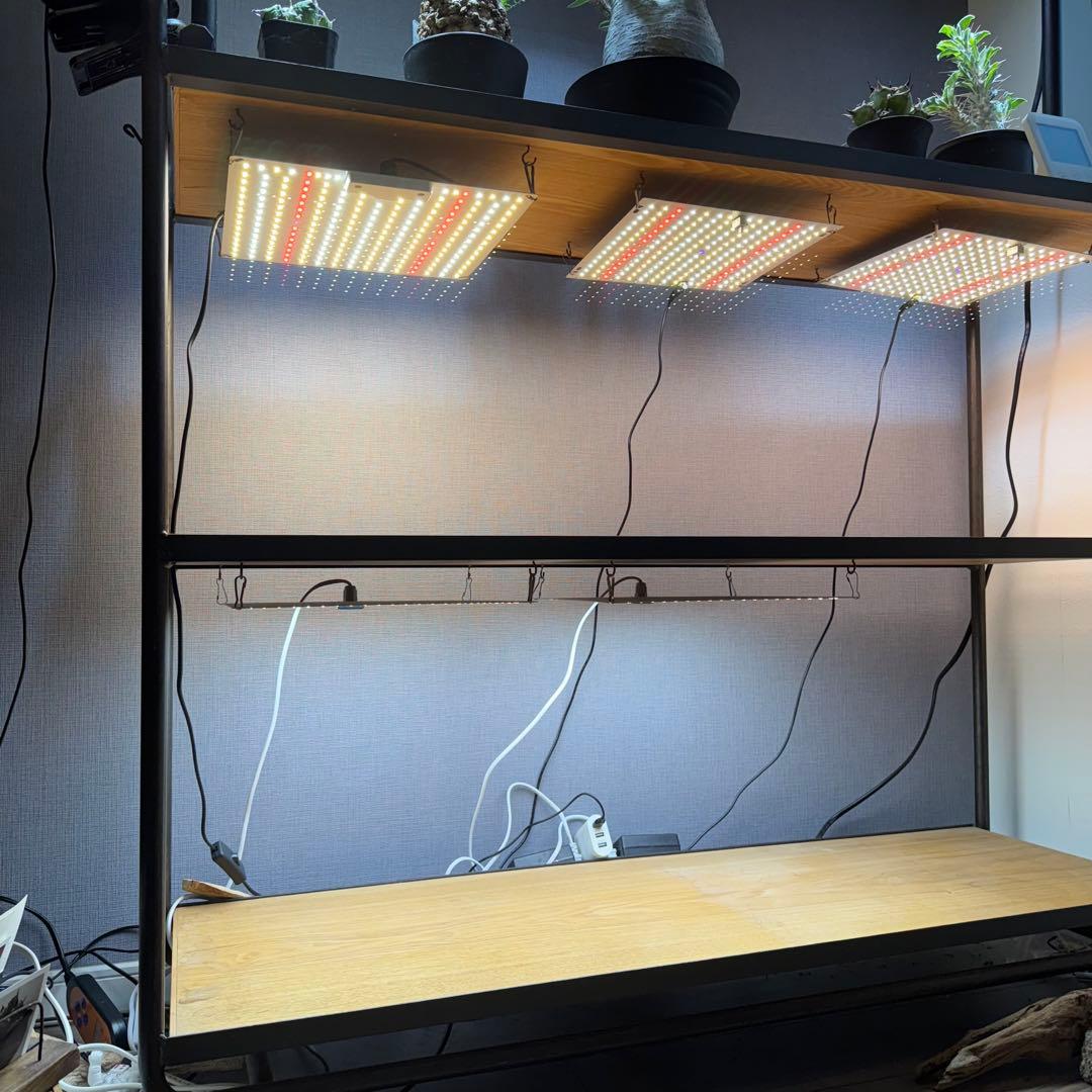 【7/3まで】a.depeche socph shelffing wagon