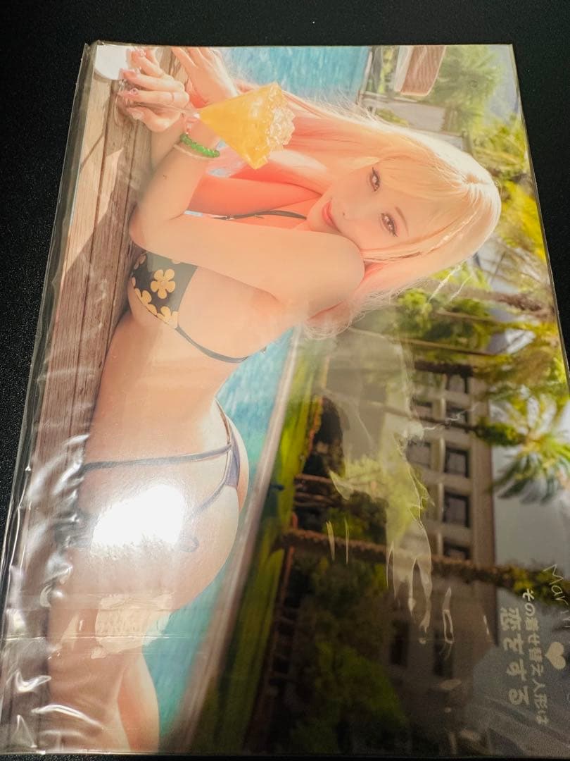 【未開封品】HaneAme 雨波 コスプレ写真集 まとめ売り