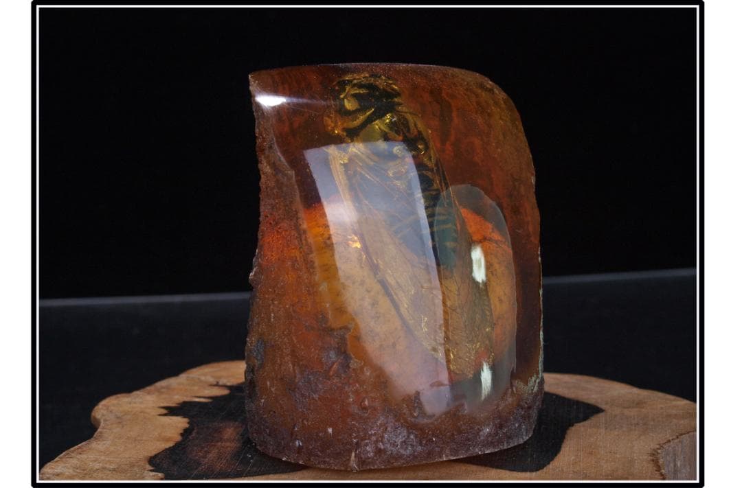 中国時代の化石　天然琥珀サソリ※骨董品 古美術 DE1649D4-2