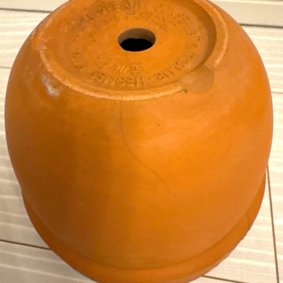HERMES FLOWER POT 非売品　ノベルティ　植木鉢　エルメス