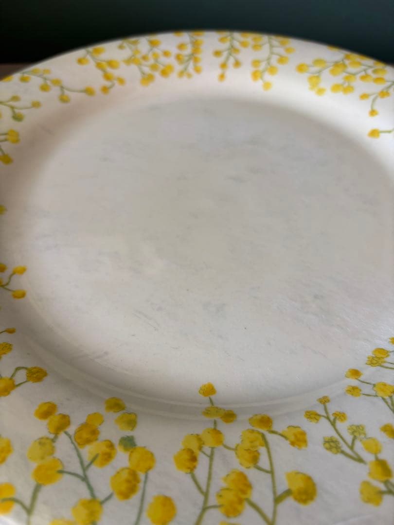 新品 ジアン gien ミモザ ディナープレート 5枚