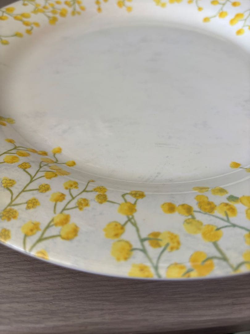 新品 ジアン gien ミモザ ディナープレート 5枚