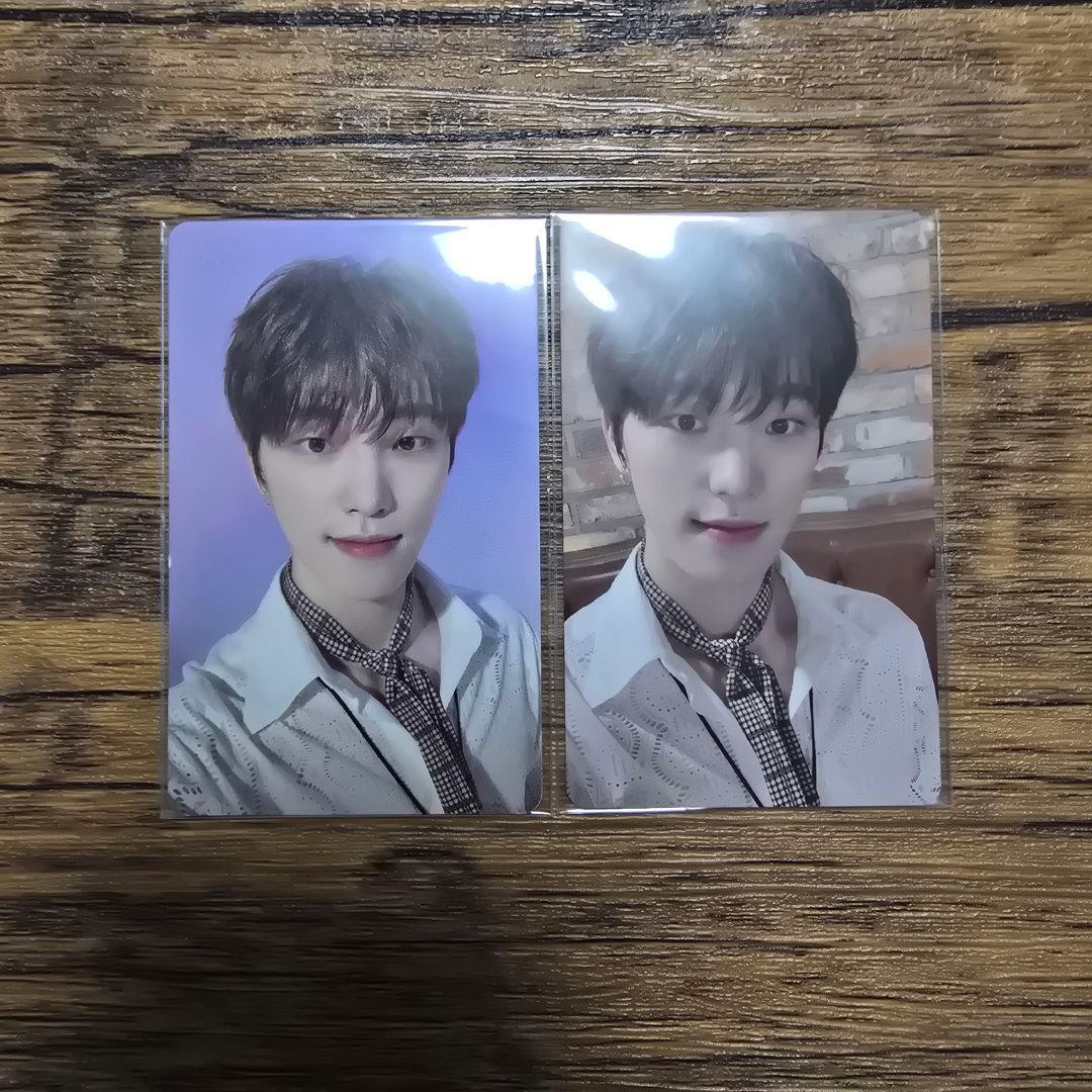 SEVENTEEN ディノ トレカ - メルカリ