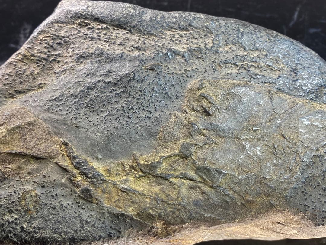 6514瀬田川石 ウブ 水石 盆栽 盆石 置物 鑑賞石 - メルカリ