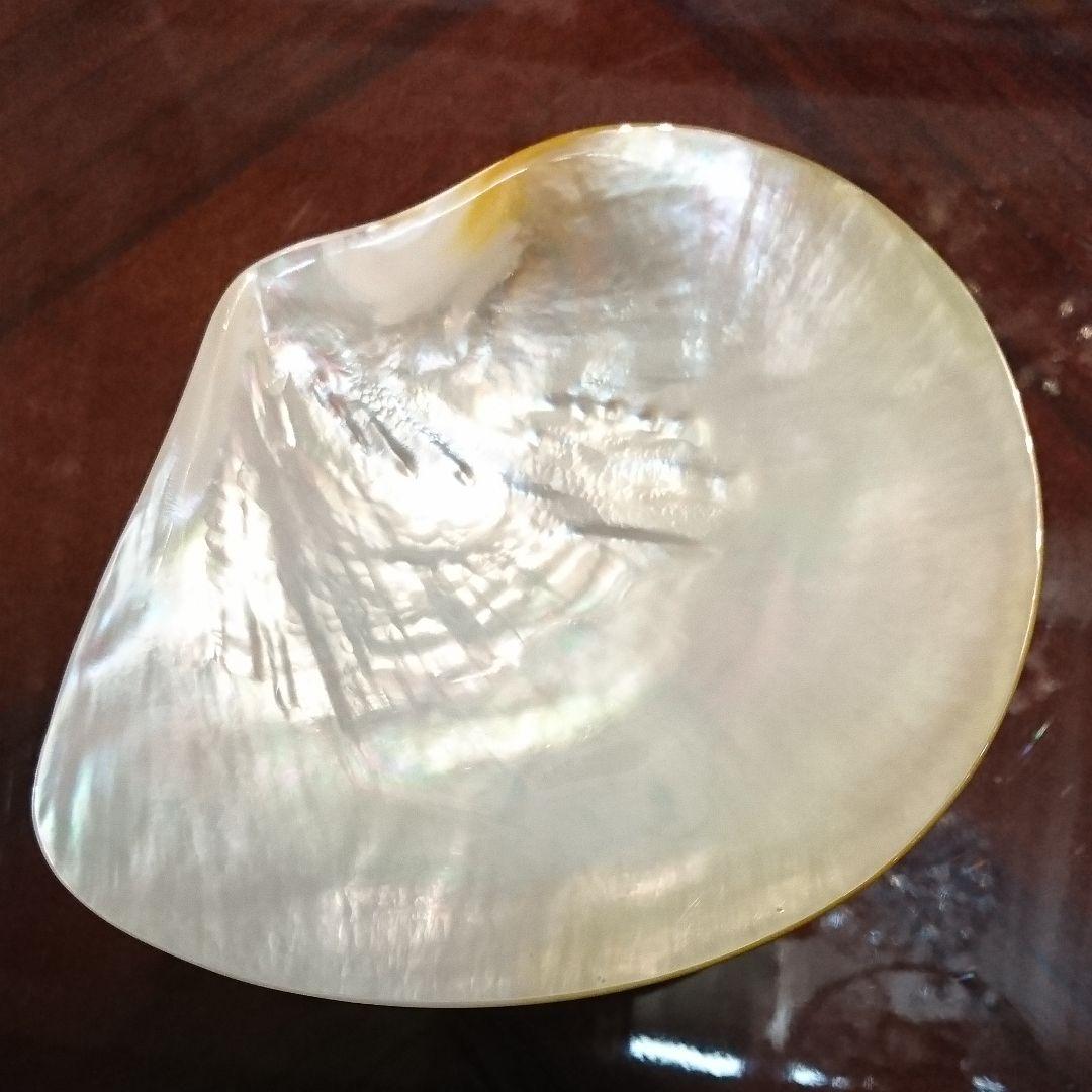 馬のディッシュ