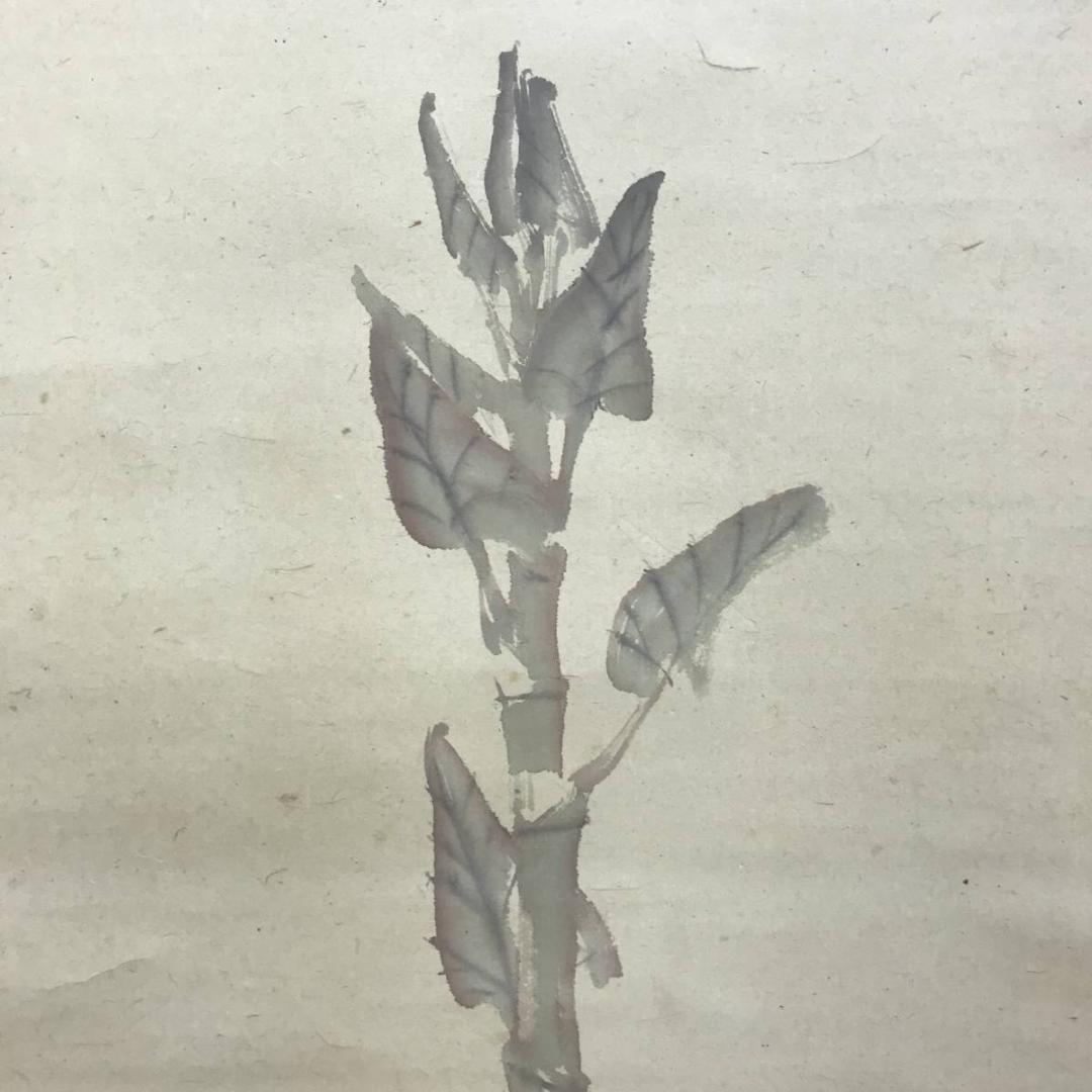 【真作】上島鳳山/虎杖/いたどり画句/イタドリ図/掛軸/名家伝来/AD-671