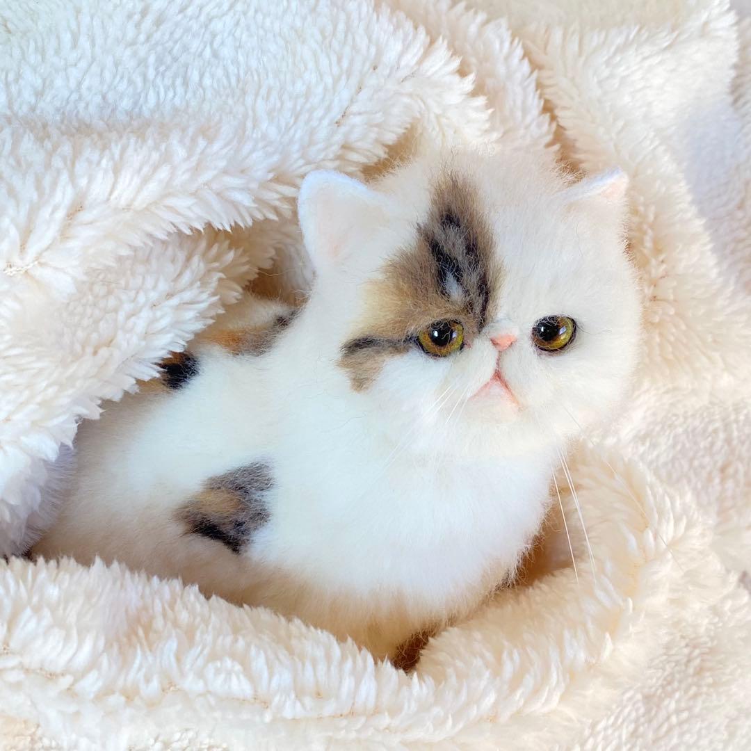 羊毛フェルト猫 全身タイプ リアル可愛い三毛のエキゾチックショート