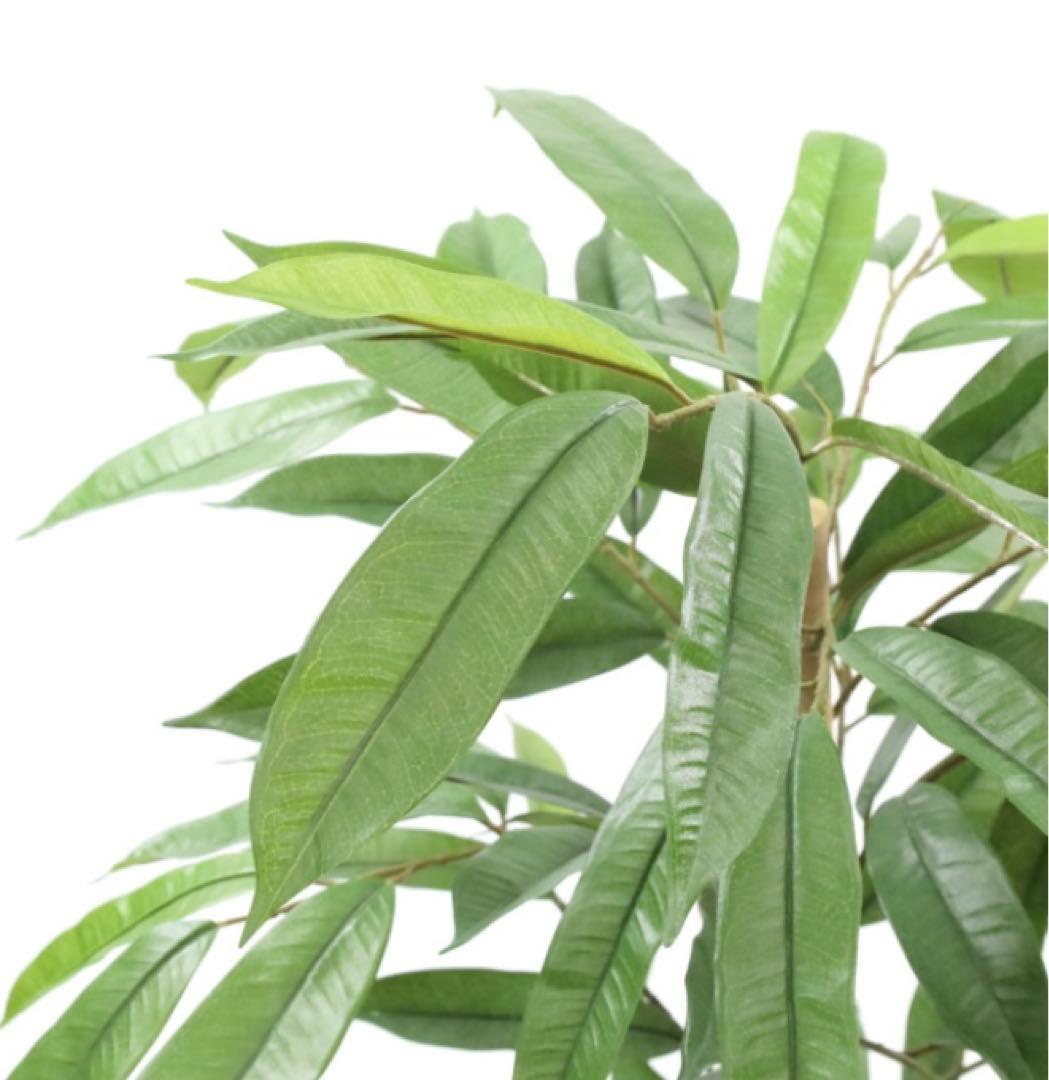 光触媒　人工観葉植物　フェイクグリーン　アムステラバーキング 1.2m