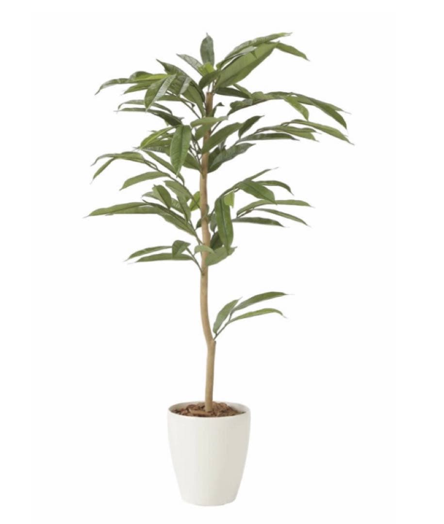 光触媒　人工観葉植物　フェイクグリーン　アムステラバーキング 1.2m