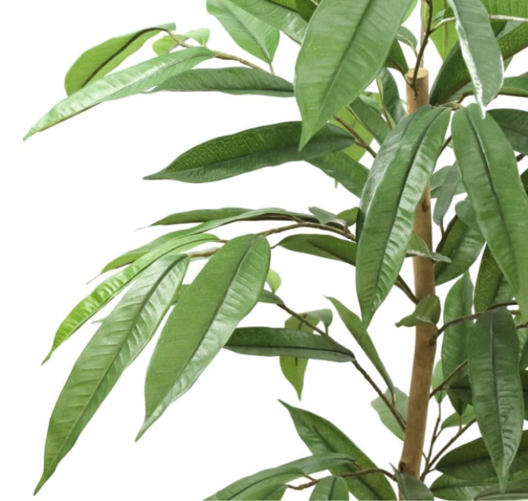 光触媒　人工観葉植物　フェイクグリーン　アムステラバーキング 1.2m