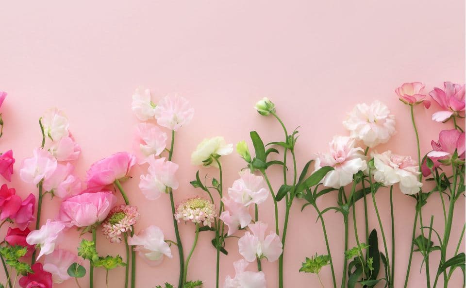 セミオーダー❀受付ページ❀