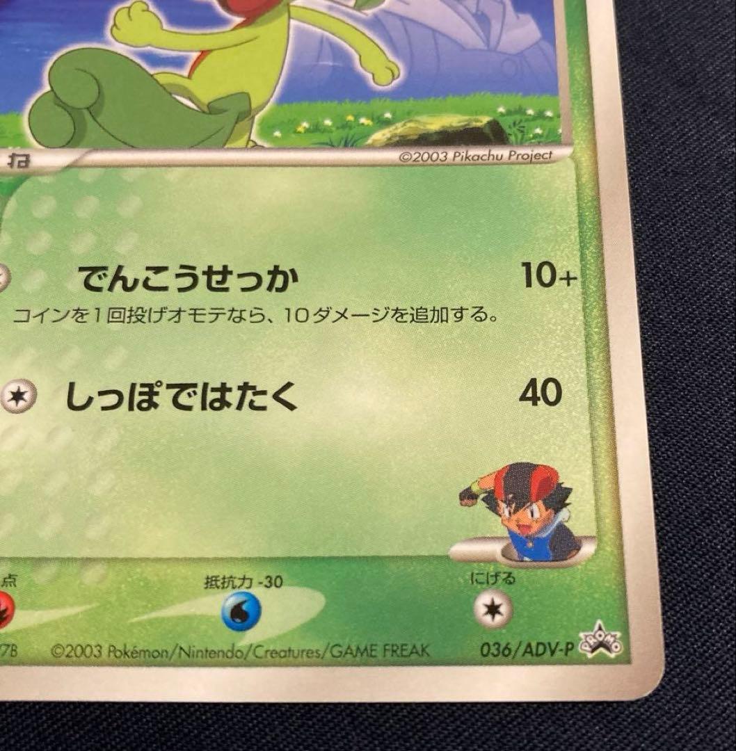 サトシのキモリ 036/ADV-P プロモ 付録 ポケカ ポケモンカード - メルカリ