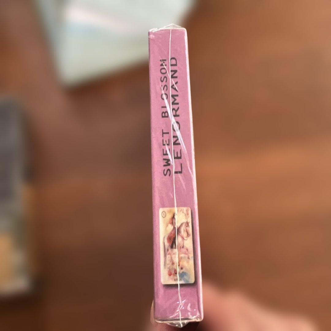 オラクルカード Fairy Tale,Dogs Against Anxiety