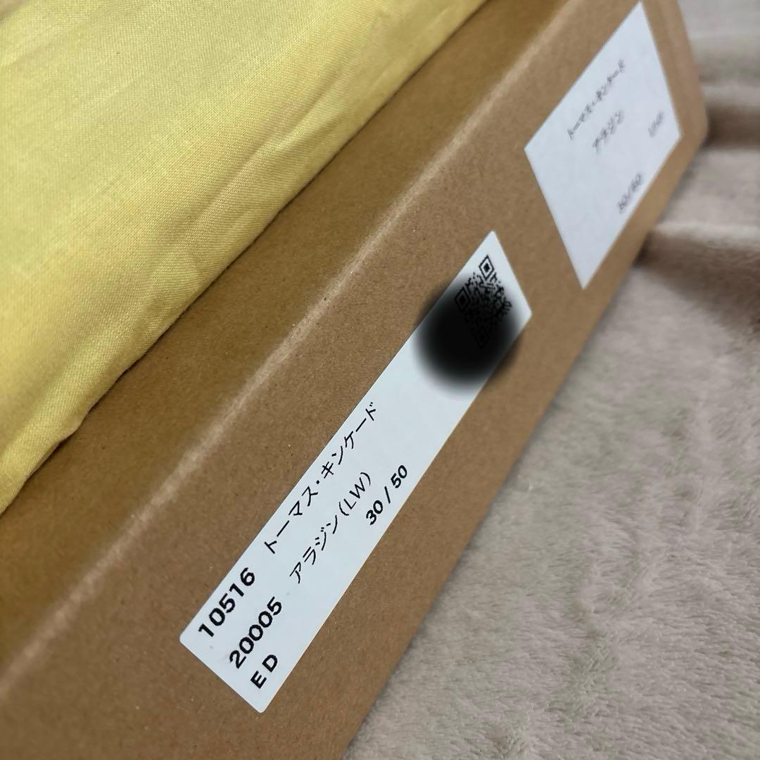 ディズニー　トーマスキンケード　アラジン　特大　シリアルナンバー　限定