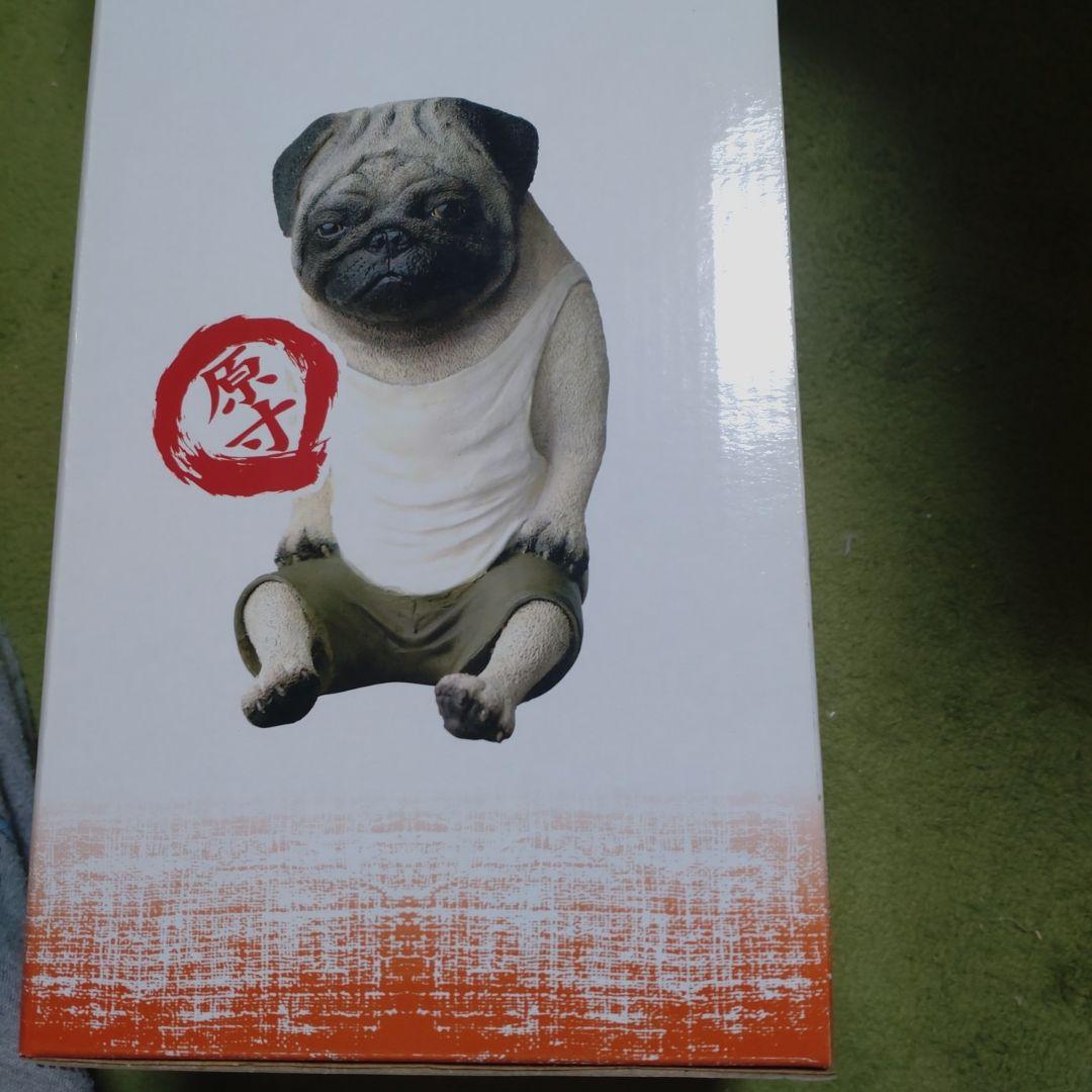 朝隈俊男　犬の留守番　パグ　新品未開封