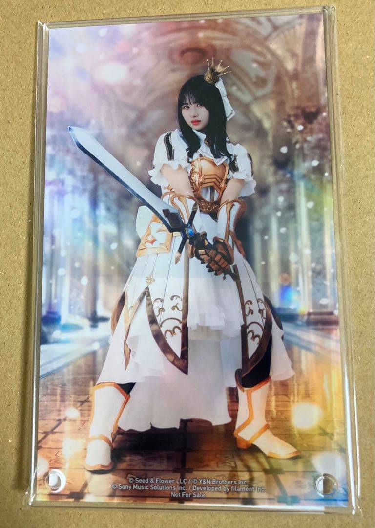 ひな図書 アクリルアートパネル 上村ひなの ひな図書 上村ひなの サイン入りアクリルアートパネル 日向坂46