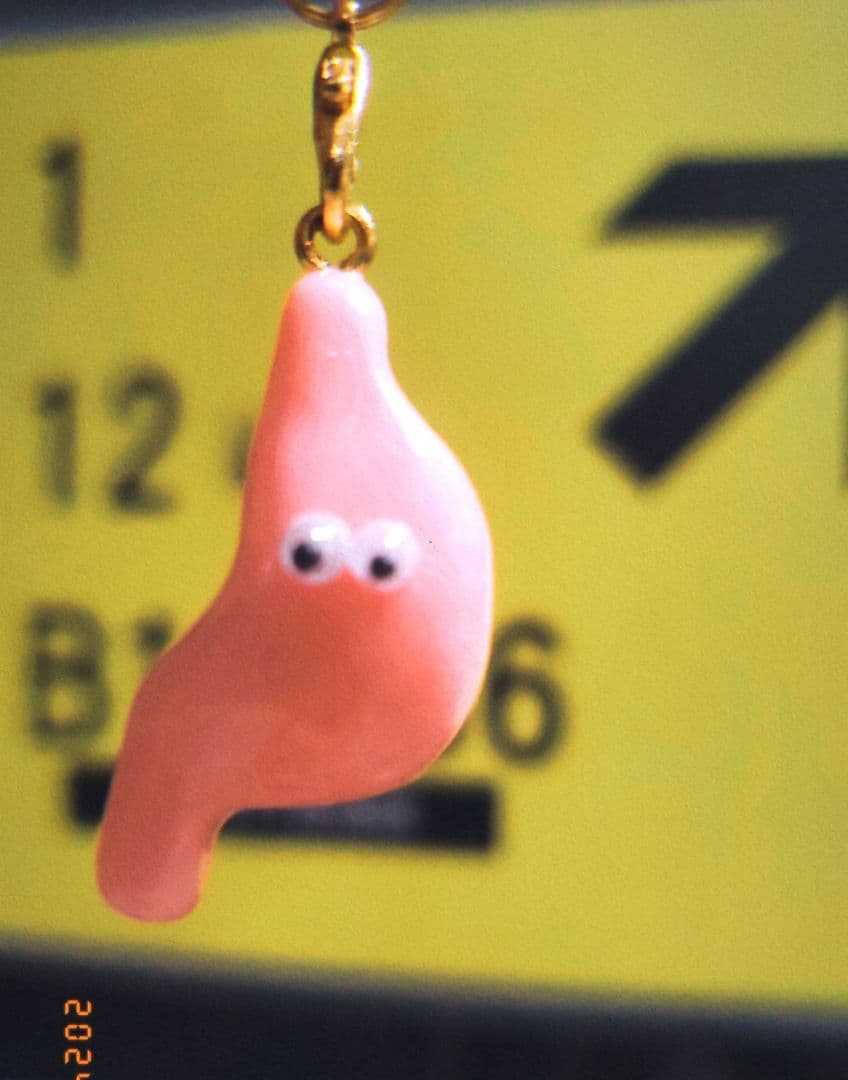 胃 臓器 手作り キーホルダー 看護 - メルカリ