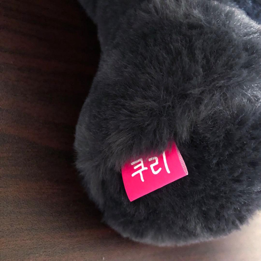 り*ん様 NCT WISH リク キャラクターバッグ トレカ付き ソウルコンMD