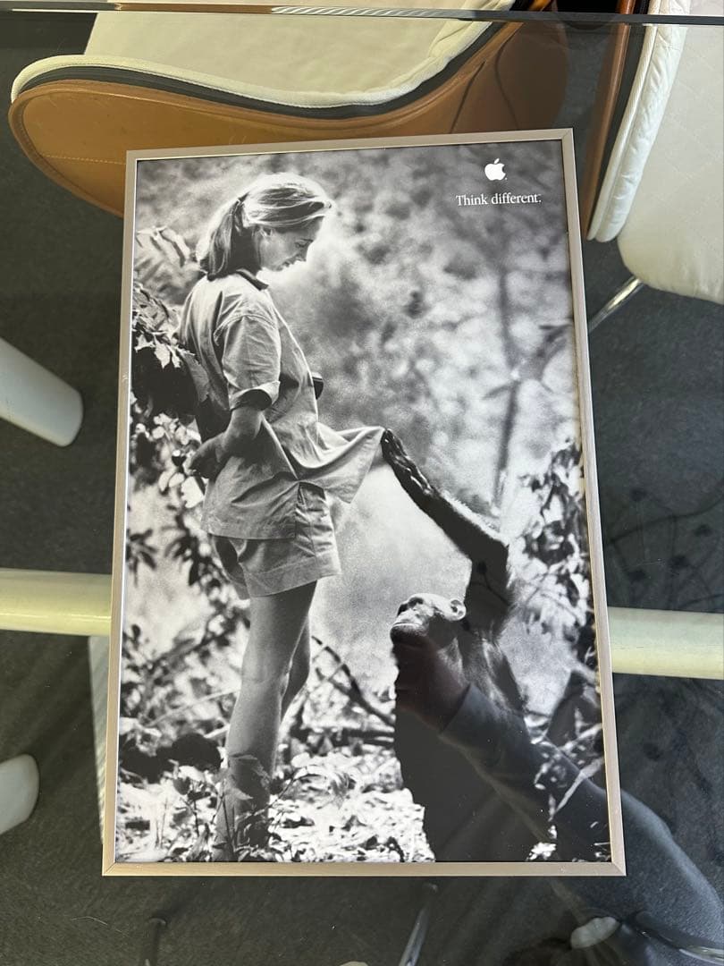 【Apple】think different 額縁入りポスターコンプリートセット