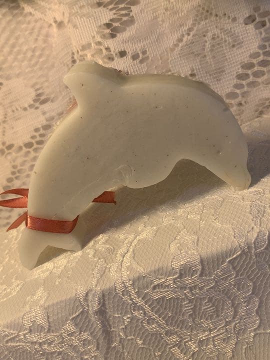 NO57.大人の為のイルカᒼᑋªⁿ❤︎*キャンドル❤