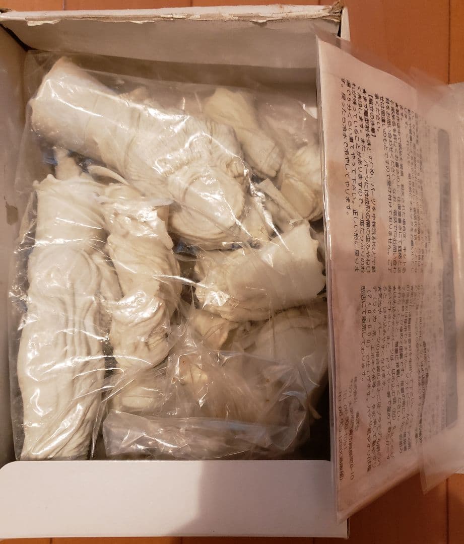 【希少】品田冬樹　buildup ガイバー　ソフビキット未組立品