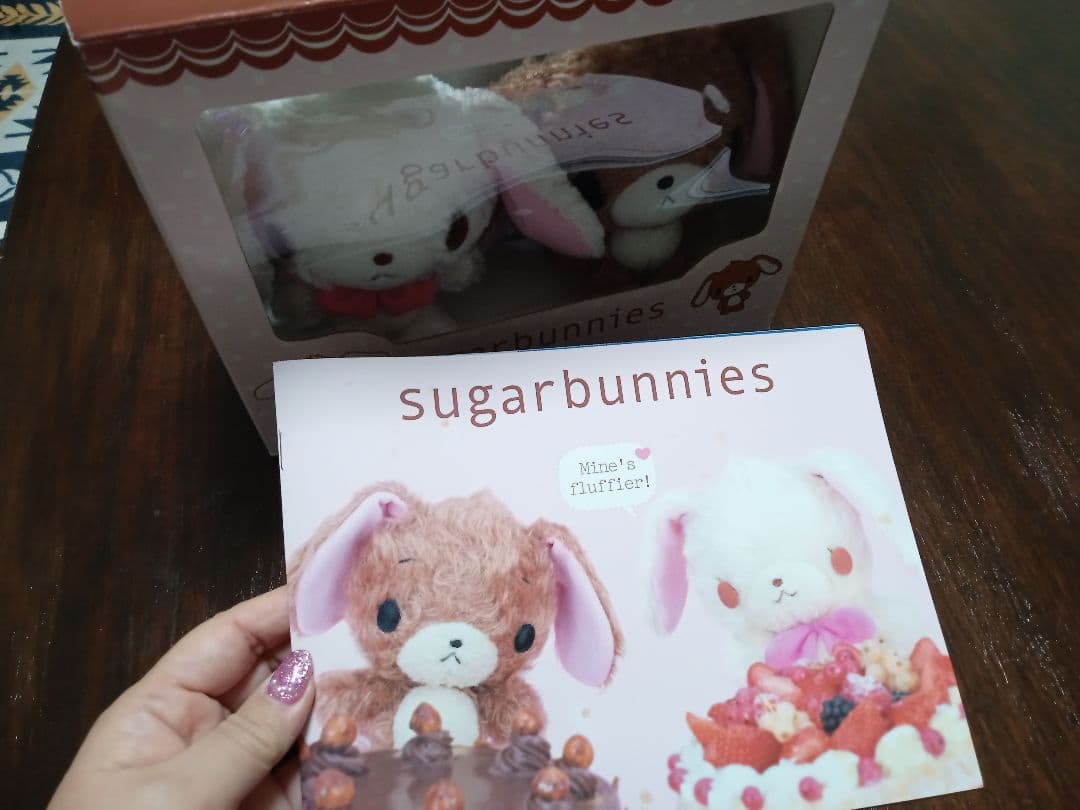 当時物 シュガーバニーズ sugarbunnies ぬいぐるみ2体 絵本セット