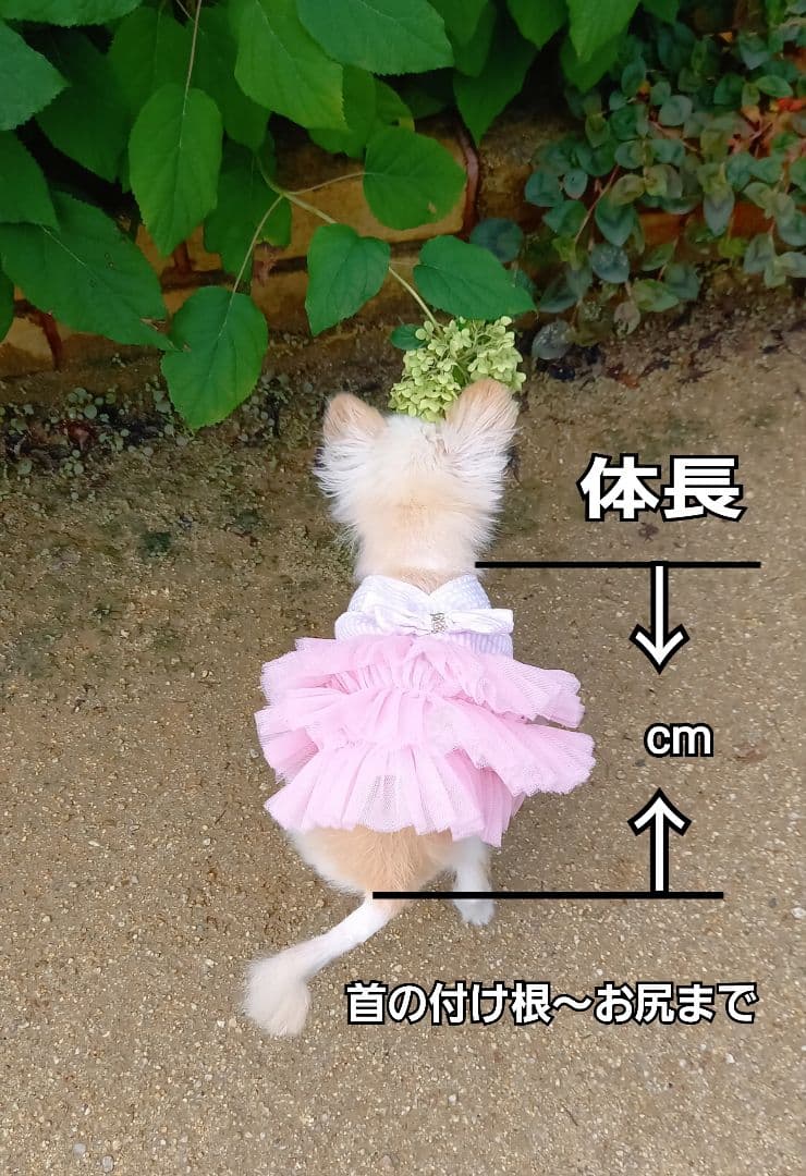 夢ちゃん専用ページ♥️ チワワ ぬいぐるみ 等身大 カズコオガワ