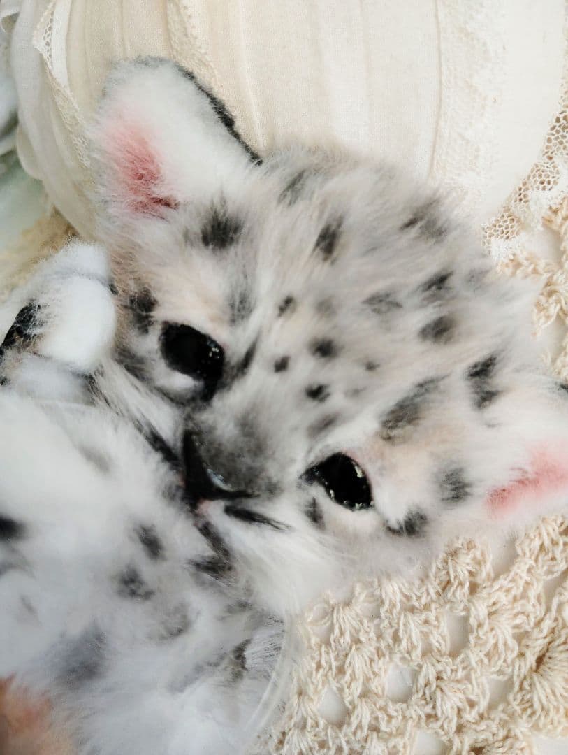 ユキヒョウベビー♡赤ちゃん♡アートドール♡ぬいぐるみ♡