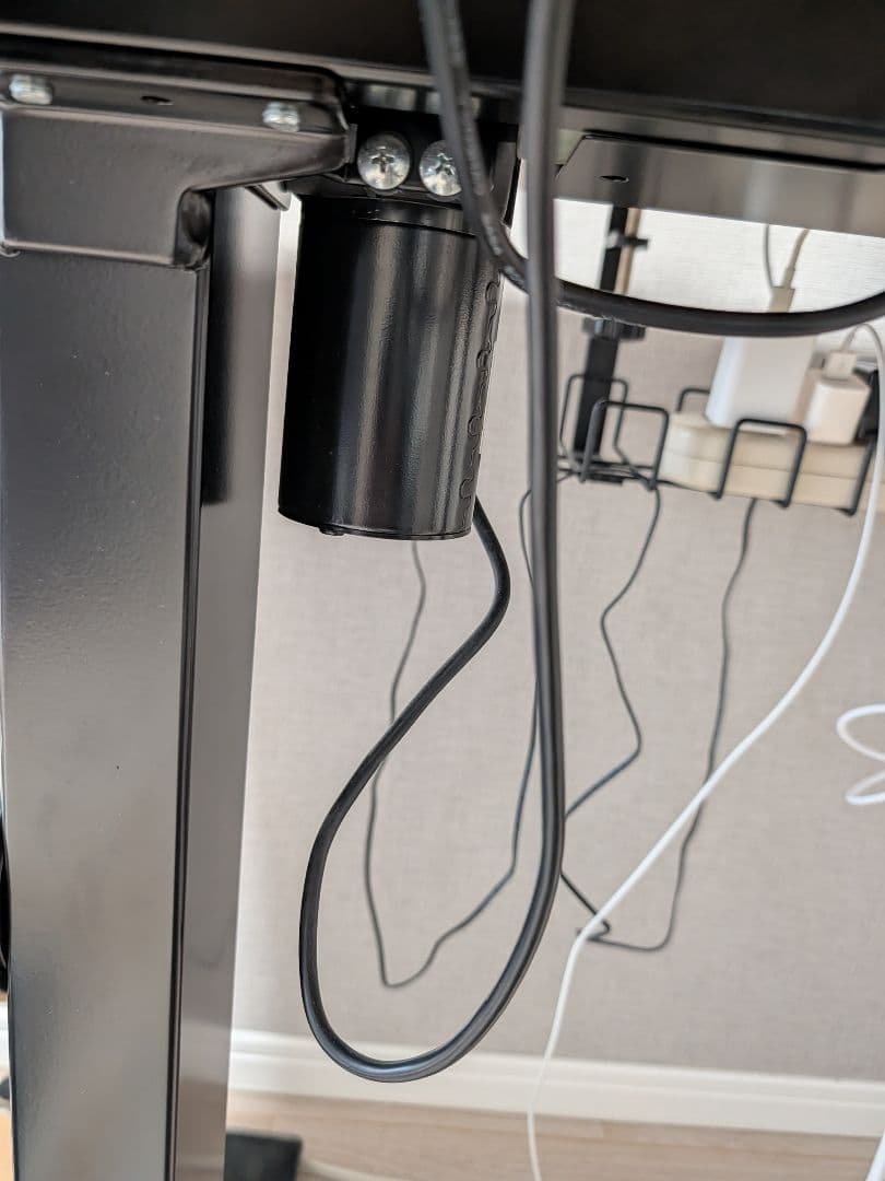 FLEXISPOT EF1B 電動昇降デスク+天板100x60