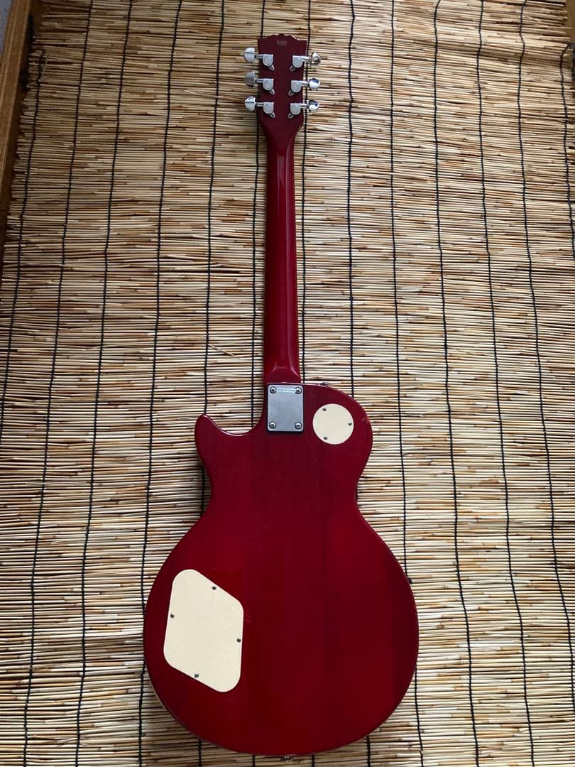 ☆改造して2V1Tに変身したBUSKER’S LP