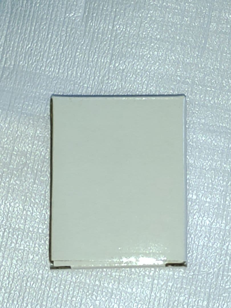 ゲーム ねこねこソフト ねこねこファンディスク2 特典 特製 懐中時計 秋乃武彦