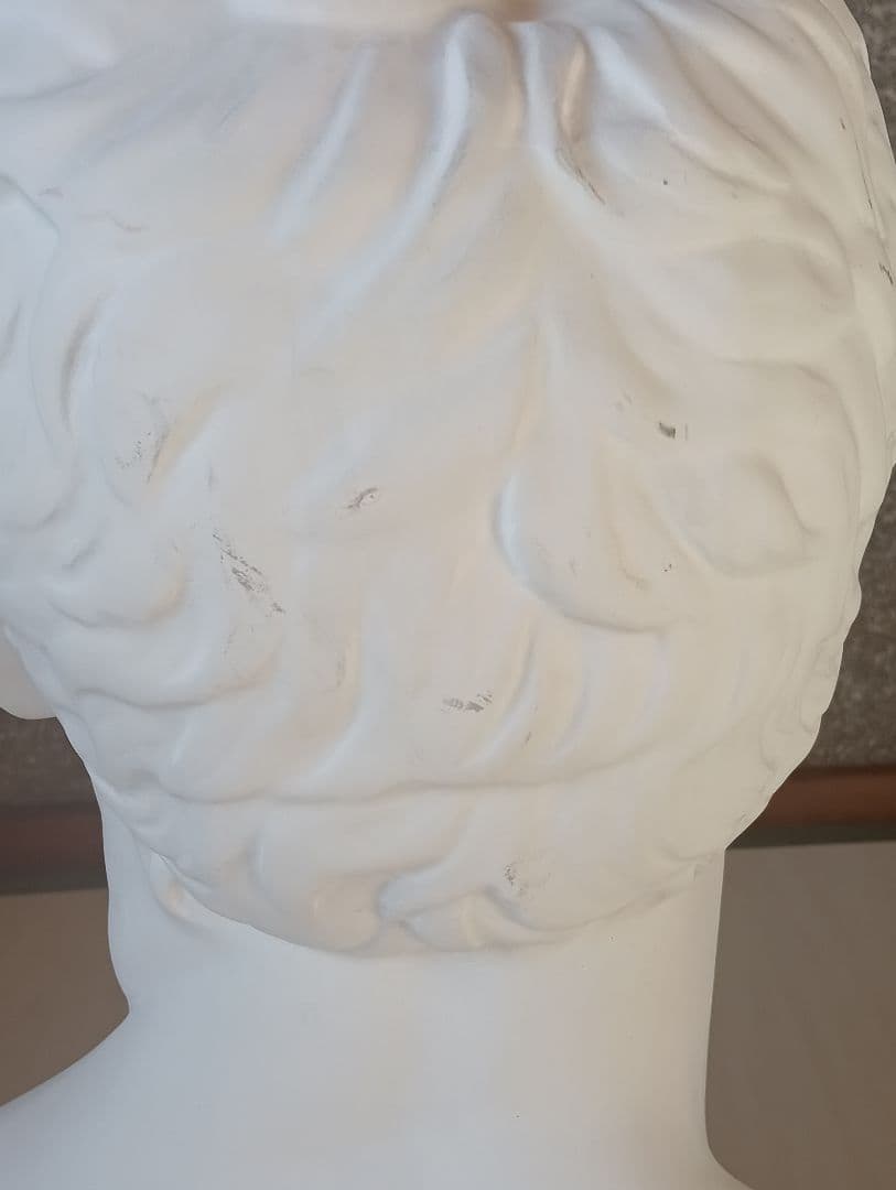 石膏像 アグリッパ（デッサン用）受験・練習用／発送対応