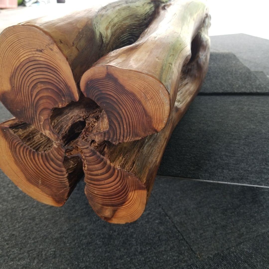 オブジェ置物《杉の珍木》☆稀少限定《四つ葉のクローバー》幸運&希望頼める便発送