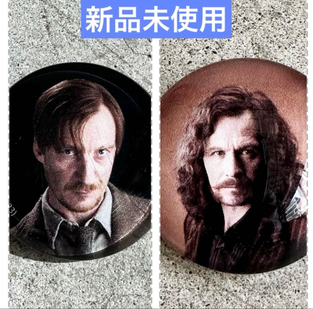 リーマス ルーピン シリウス ブラック ハリーポッター ガラスピンズ